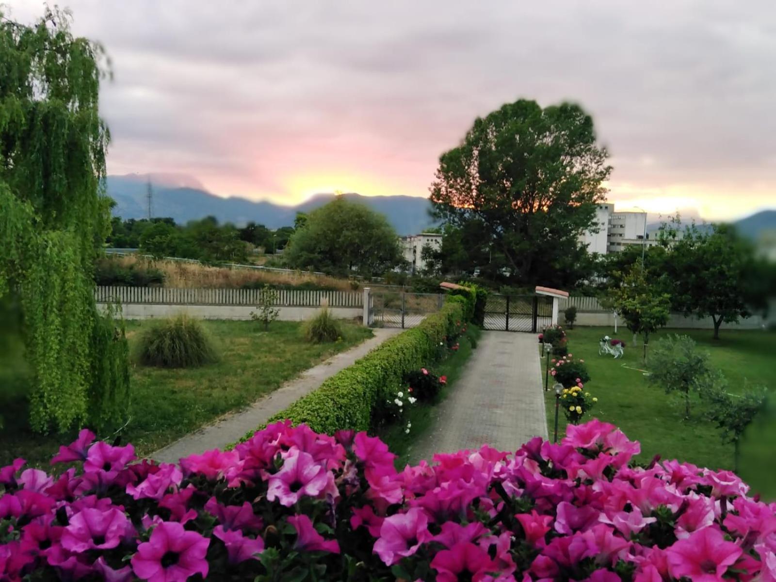 הוילה סולמונה Parco Delle Rose מראה חיצוני תמונה