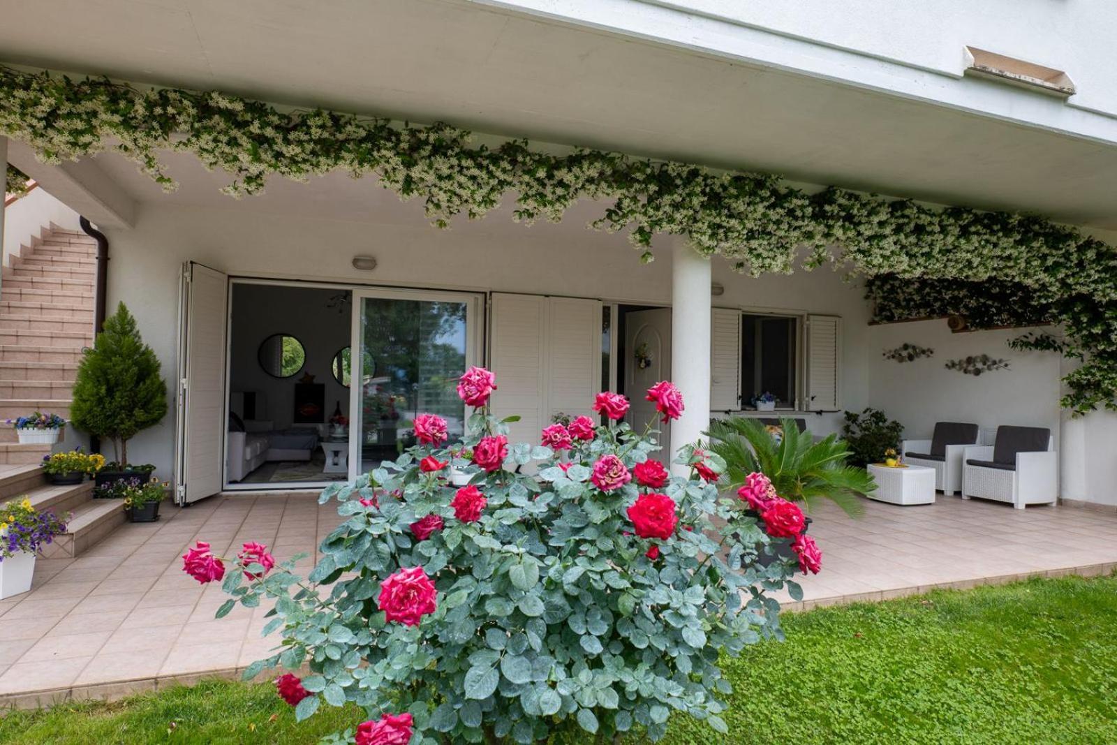 הוילה סולמונה Parco Delle Rose מראה חיצוני תמונה